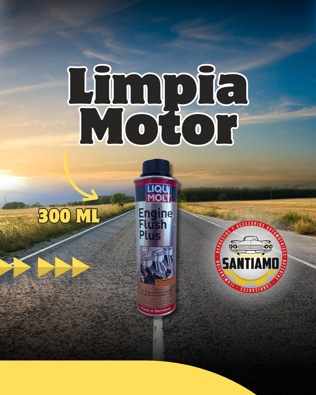 Limpia Motor 300ML LIQUI MOLY