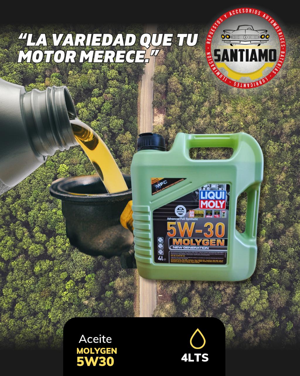 Aceite Liqui Moly 5W30 Molygen 4LTS