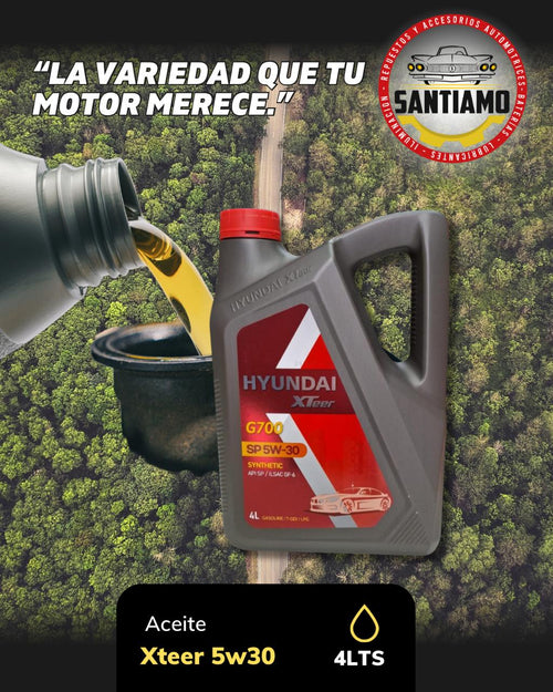 Aceite 5W30 Hyundai Xteer 4LTS (G700)