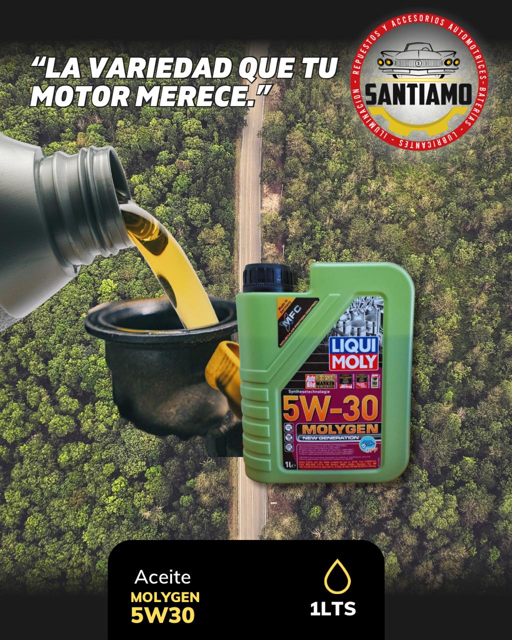 Aceite Liqui Moly 5W30 Molygen DPF 1LTS